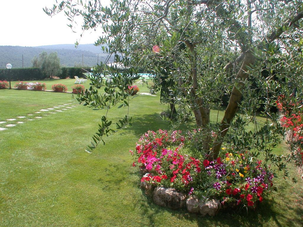 Agriturismo Arnano Sovicille Exteriér fotografie